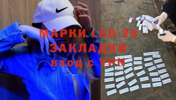 шишки Дмитров