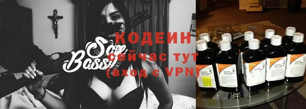 шишки Дмитров