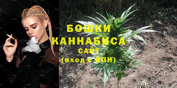 шишки Дмитров