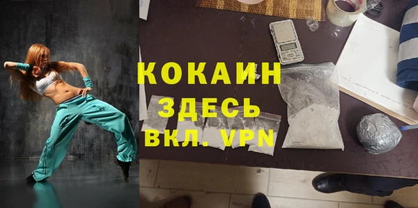 шишки Дмитров